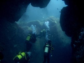 diving gran canaria through the Arinaga Arch