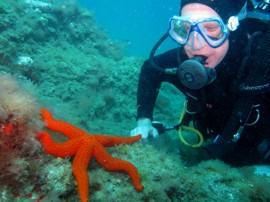 diver with starfish in Gran Canaria