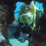 diver explores underwater scuba diving in Canary Islands